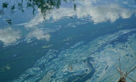 Cơ quan chức năng kết luận gì về nước thủy điện Ia Ly xanh lè, nổi váng?