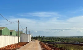 Trang trại chăn nuôi heo của Công ty Lơ Pang