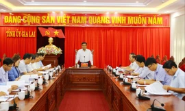 Gia Lai kỷ luật gần 100 đảng viên trong 6 tháng