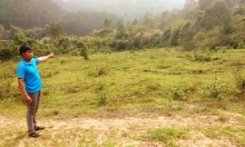 Khu vực nơi dự án được dự kiến xây dựng