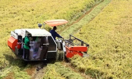 Phải bàn giao trên thực địa cho từng địa phương