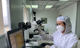 Giành học bổng của Nhật bản với nghiên cứu chống nóng, bảo vệ môi trường