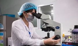 Chỉ hơn 2% tạp chí khoa học của Việt Nam lọt vào danh mục Scopus, WoS