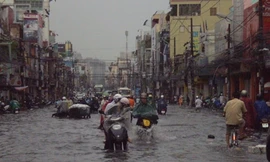 Đại biểu Quốc hội lên tiếng vụ sếp nhận lương khủng