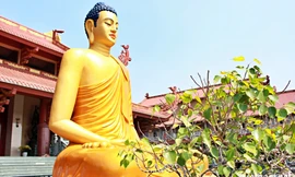 Chuyện về tượng ‘Phật cô đơn’ tọa thiền giữa cánh đồng hoang tàn