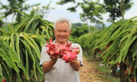 Ông Nguyễn Văn Lợ 
