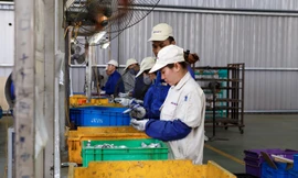 9 tháng đầu năm 2018, số doanh nghiệp ngừng hoạt động tăng 48,1%. Ảnh minh họa