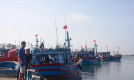 Để tàu cá, ngư dân tiếp tục vi phạm ở vùng biển nước ngoài, lãnh đạo địa phương sẽ bị xử lý 