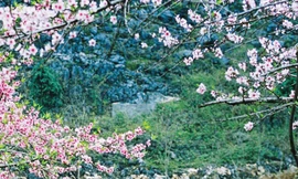 Mùa xuân Tây Bắc