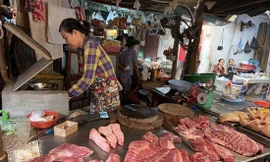 Thịt lợn bán ở chợ dân sinh Hà Nội. Ảnh: H.M