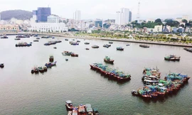 Những xóm chài xôm tụ, quây quần trên những chiếc thuyền cũ nát, họ sống thu mình đơn sơ, giản dị bên sự náo nhiệt, hối hả của phồn hoa phố thị 