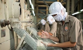 Kiểm tra chất lượng gạo Việt Nam phục vụ xuất khẩu gạo. Ảnh: DNVN