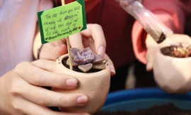 Thử thách “Mỗi ngày một hành động xanh” thu hút sự tham gia của hơn 1.000 bạn trẻ. Ảnh: Giang Thanh 