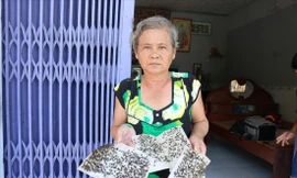 Những miếng dính đầy ruồi. Ảnh: Kim Hà