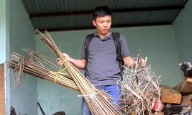 Những thợ săn trả nợ rừng xanh