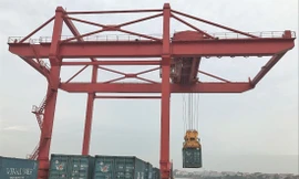 Nhiều doanh nghiệp xuất nhập khẩu đi châu Âu và Mỹ đang gặp khó vì thiếu container rỗng đóng hàng