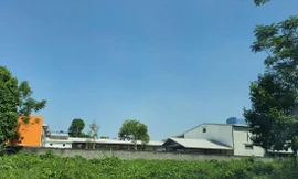 Nhà xưởng rộng hàng nghìn mét vuông trên đất lâm trường 