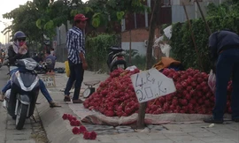 Thanh long bán đổ đống trên vỉa hè ở TPHCM. Ảnh: U.P 