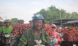 Người trồng vải thiều Bắc Giang vui mừng vì có một mùa vụ bội thu. Ảnh: N.T