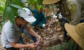 Khi cây đẳng sâm được trồng và khai thác hợp lý, đời sống của người dân ở xã Gary (huyện Tây Giang, tỉnh Quảng Nam) được cải thiện rõ rệt. Ảnh: Giang Thanh