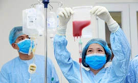 Tiến hành ghép tế bào gốc máu dây rốn cộng đồng cho bệnh nhân