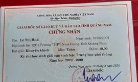 Thành tích thi học sinh giỏi toàn tỉnh của em Hoài 