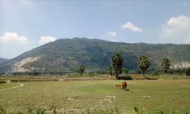 Cánh đồng khô cằn ở huyện Tri Tôn (An Giang) ẢNH: HÒA HỘI