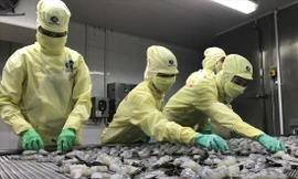 Nhiều thách thức với các mặt hàng xuất khẩu của Việt Nam trong những năm tới