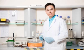 Kết nối sức mạnh trí thức trẻ Việt