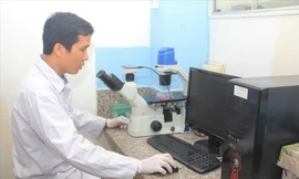 Kiên trì làm nên thành công