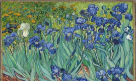 Bức “Hoa diên vỹ” Van Gogh vẽ năm 1889 và được bán năm 1987 với giá 53,9 triệu USD. Ảnh: Bảo tàng J. Paul Getty