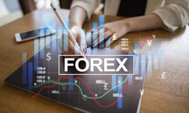 Môi giới Forex trái phép có thể bị xử lý hình sự