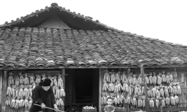 Ngói máng luôn gắn bó với nhà sàn truyền thống Bắc Sơn. Ảnh: Doãn Tuấn