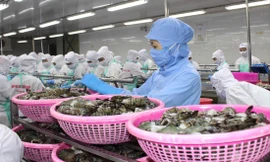 Năm 2018, ngành thủy sản xuất khẩu đột phá với 9 tỷ USD. Ảnh: U.P