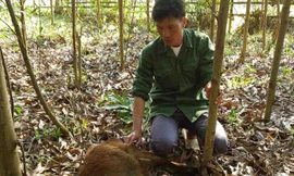 Ông Đinh Thanh Cường bên con bò giống vừa nhận về đã bị chết