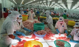 Nông sản của Việt Nam cần được chế biến sâu để tăng giá trị. Ảnh: Châu Anh