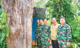 Cán bộ nhân viên BQL KBT với cây Thủy tùng 700 năm tuổi ở Ea Ran