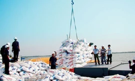 Loại hàng loạt đơn vị “gác” chất lượng phân bón nhập khẩu vì... có vấn đề