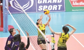 Trước thềm SEA Games 30, nội bộ môn bóng chuyền Việt Nam cũng xuất hiện nhiều thông tin không tốt, trong đó có vấn đề trang thiết bị, kinh phí, bác sĩ để đảm bảo việc tập luyện cho VĐV. 