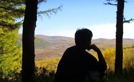 Ảnh minh họa: Internet