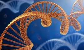 Ảnh minh họa: Internet