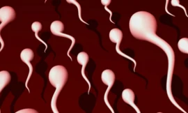 Ảnh minh họa: Internet