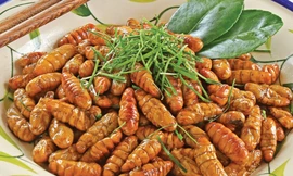 Ảnh minh họa: Internet