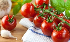 Ảnh minh họa: Internet