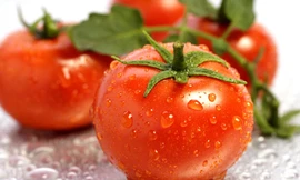 Ảnh minh họa: Internet