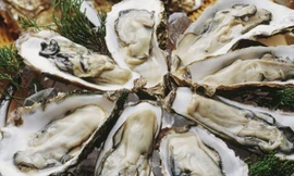 Ảnh minh họa: Internet