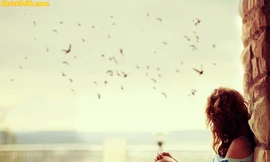 Ảnh minh họa: Internet