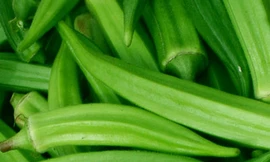 Ảnh minh họa: Internet