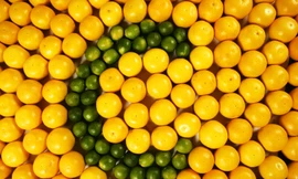 Ảnh minh họa: Internet