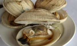 Ảnh minh họa: Internet